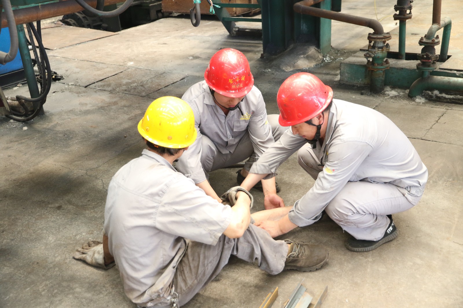 545A7445.JPG 545A7445.JPG