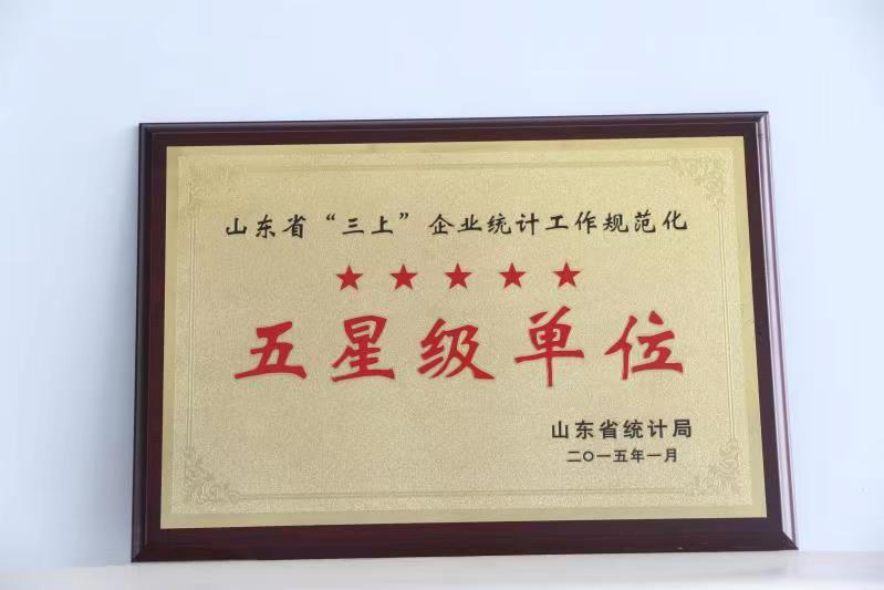 省統(tǒng)計(jì)工作規(guī)范化五星級單位