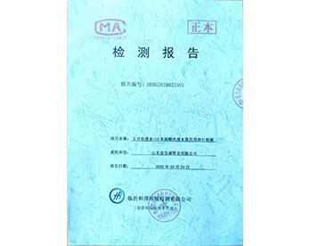 山東金寶誠(chéng)2月份檢測(cè)報(bào)告